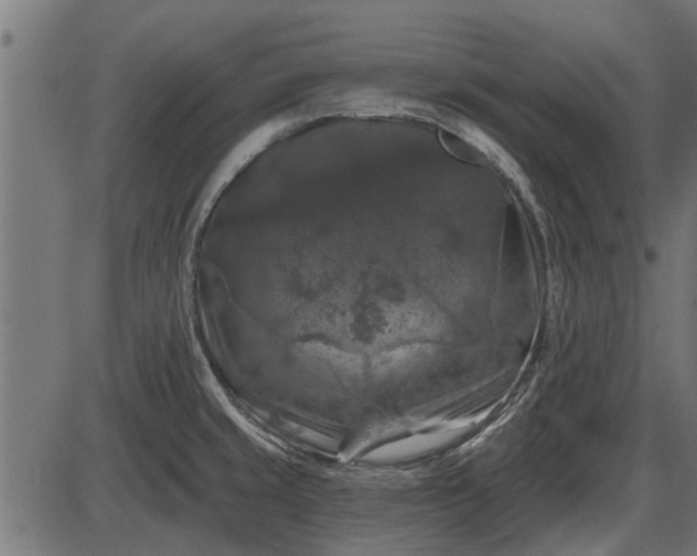 X0000086301429200704091010