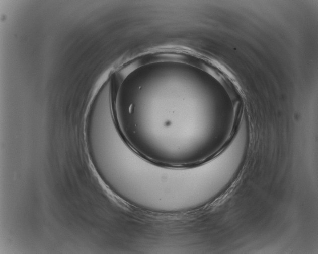 X0000086301430200704091010