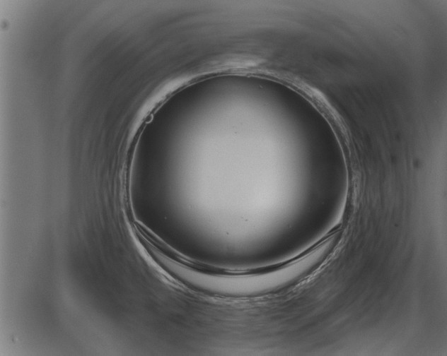 X0000086301432200704091010