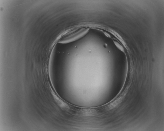 X0000086301433200704091010