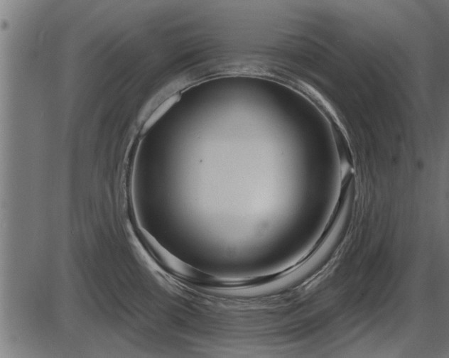 X0000086301434200704091010