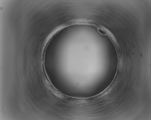 X0000086301435200704091010