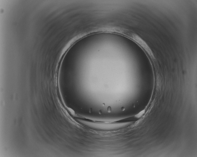 X0000086301436200704091010