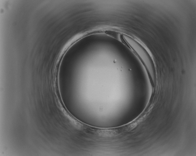 X0000086301437200704091010