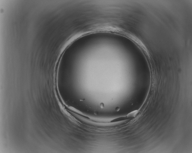 X0000086301439200704091010