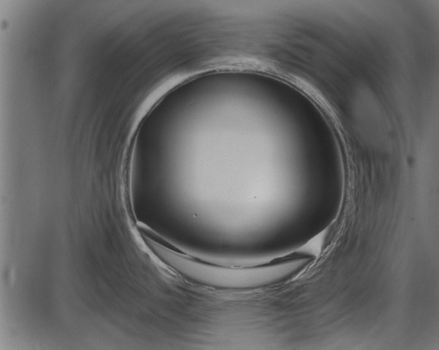 X0000086301440200704091010