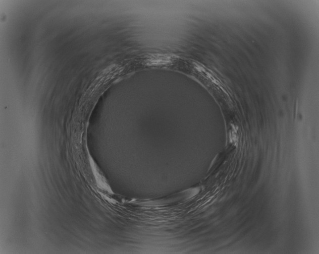 X0000086301441200704091009