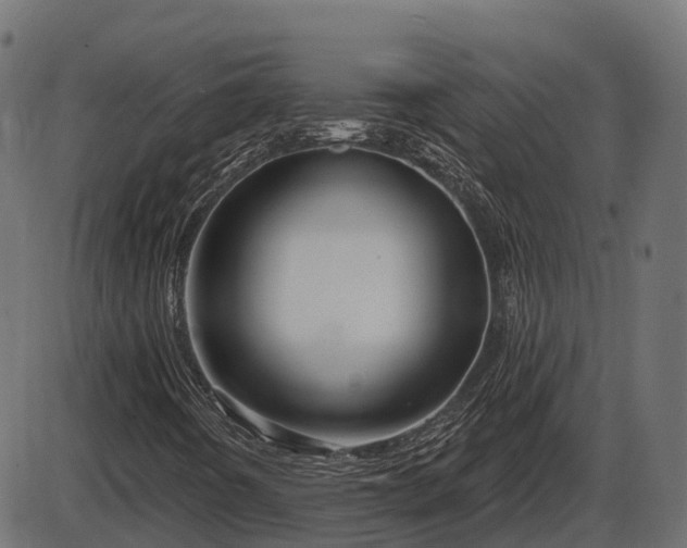 X0000086301442200704091009