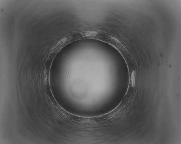 X0000086301443200704091009