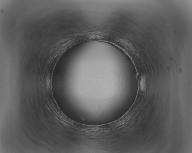 X0000086301444200704091009