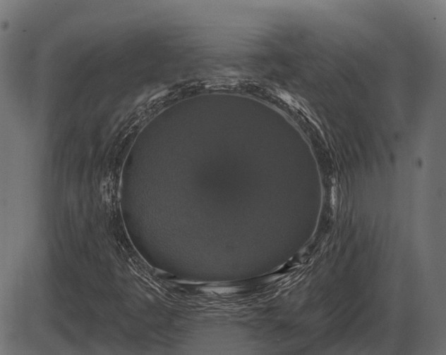 X0000086301445200704091009