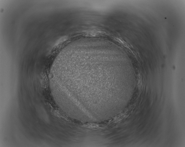 X0000086301446200704091009