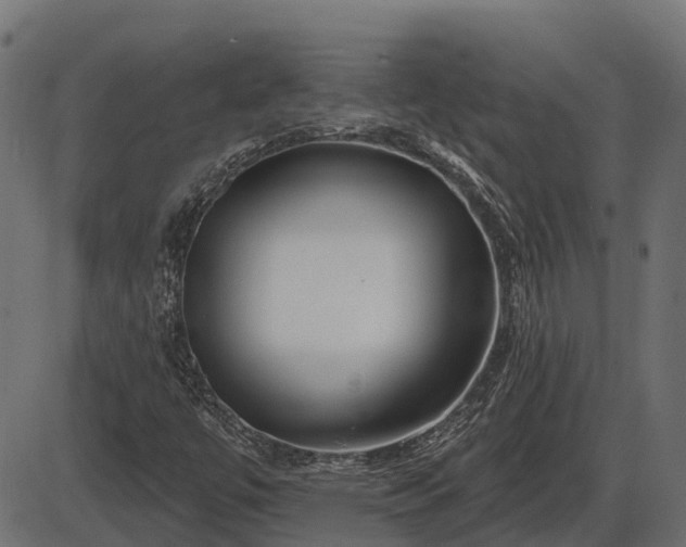 X0000086301447200704091009