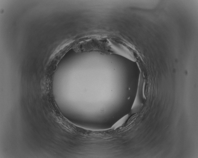 X0000086301448200704091009