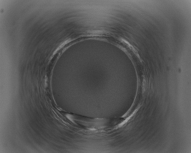 X0000086301449200704091009