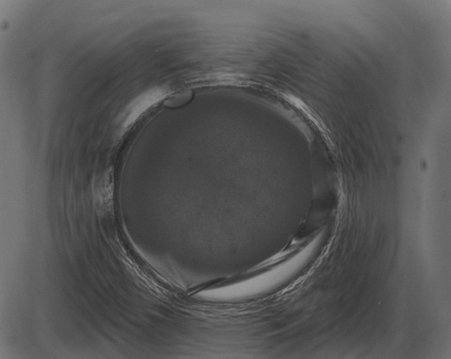 X0000086301450200704091009