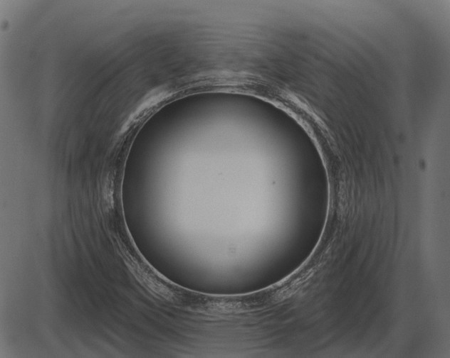 X0000086301451200704091009