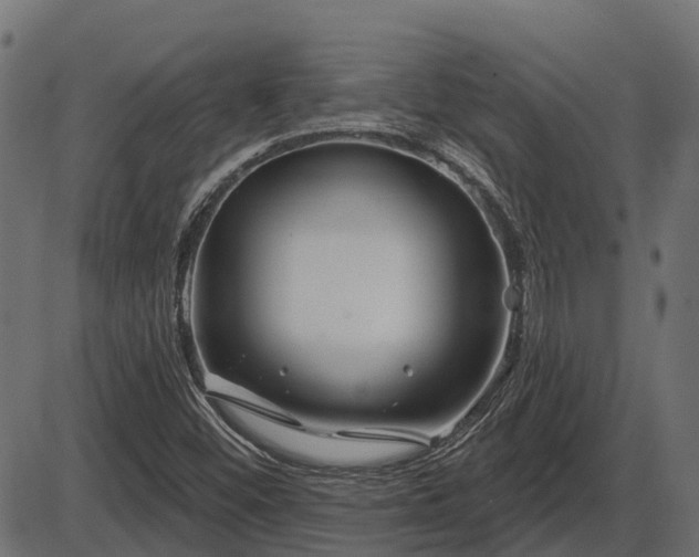 X0000086301452200704091009