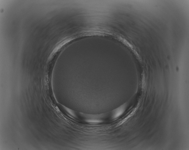 X0000086301453200704091009