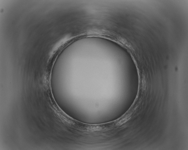 X0000086301454200704091009