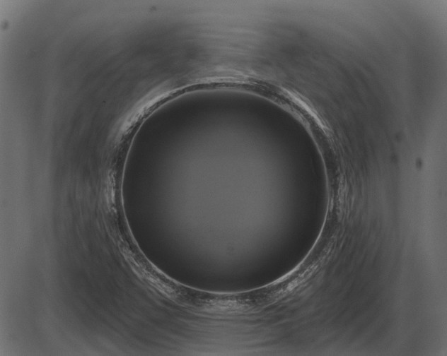 X0000086301455200704091009