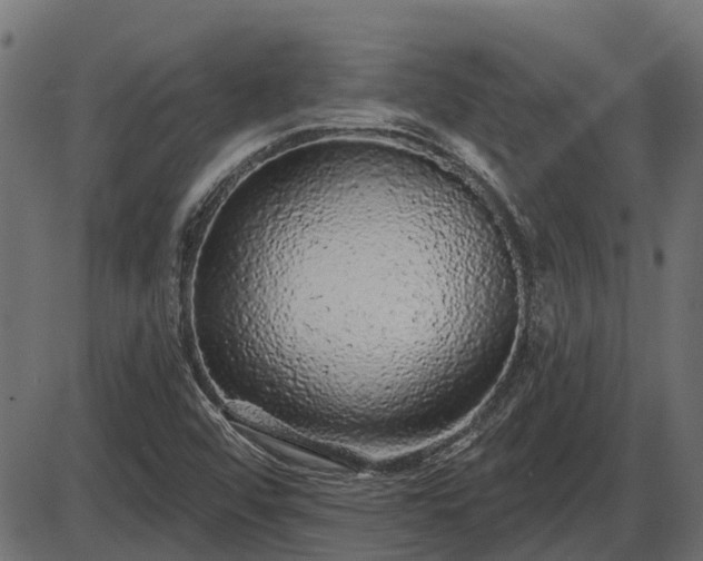 X0000086301456200704091009