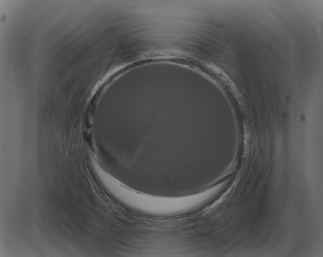 X0000086301457200704091009