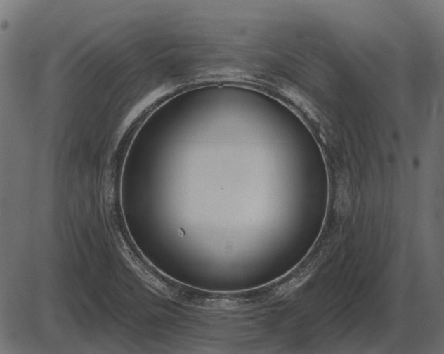 X0000086301458200704091009