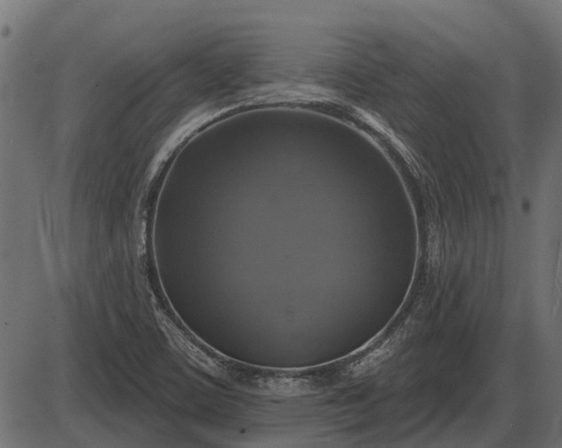 X0000086301459200704091009