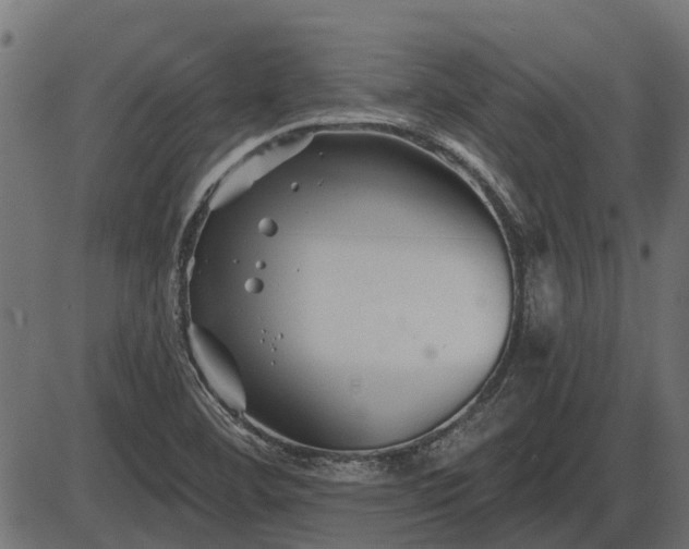 X0000086301460200704091009