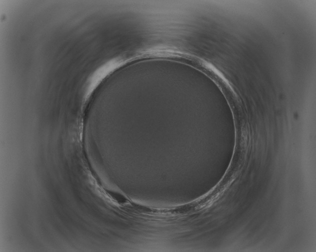 X0000086301461200704091009