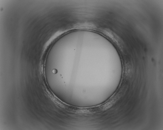 X0000086301462200704091009