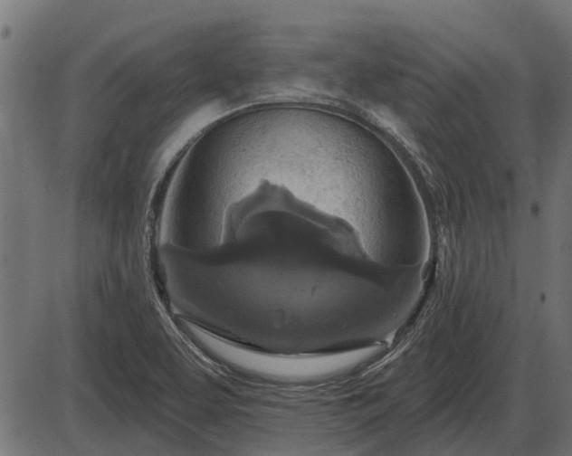 X0000086301463200704091009