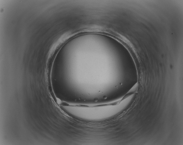 X0000086301464200704091009