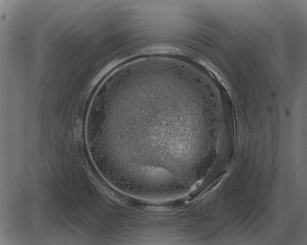 X0000086301465200704091009