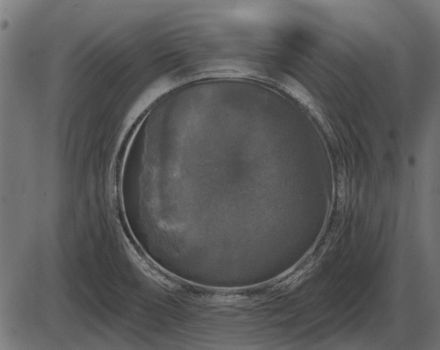 X0000086301466200704091009