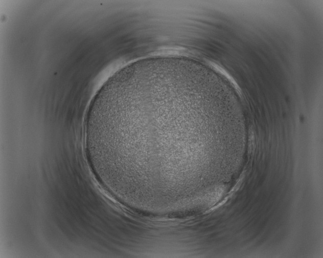 X0000086301467200704091009