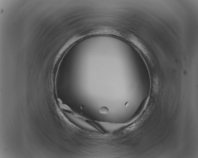 X0000086301468200704091009