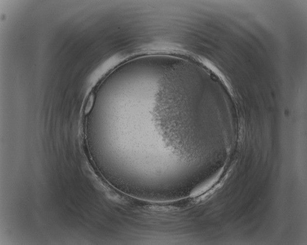 X0000086301469200704091009