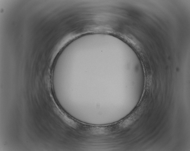 X0000086301470200704091009