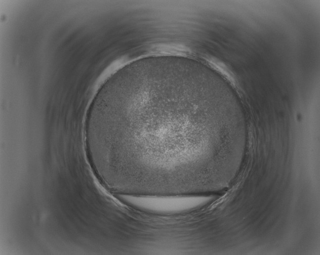 X0000086301471200704091009