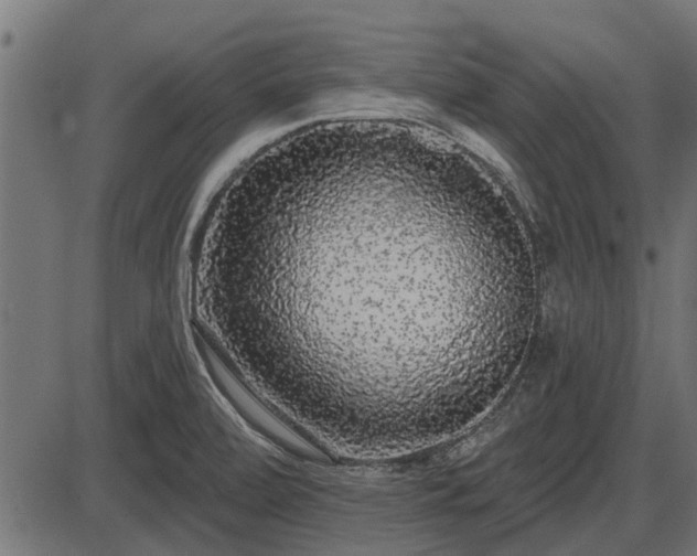 X0000086301472200704091008