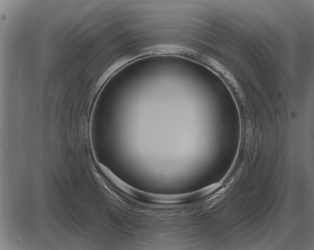 X0000086301473200704091008