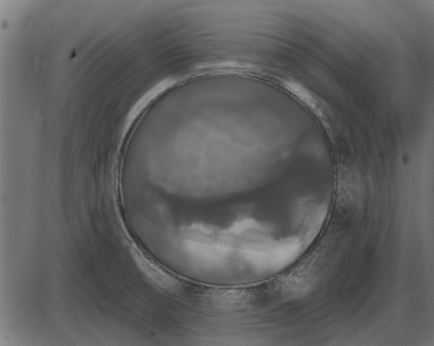 X0000086301474200704091008