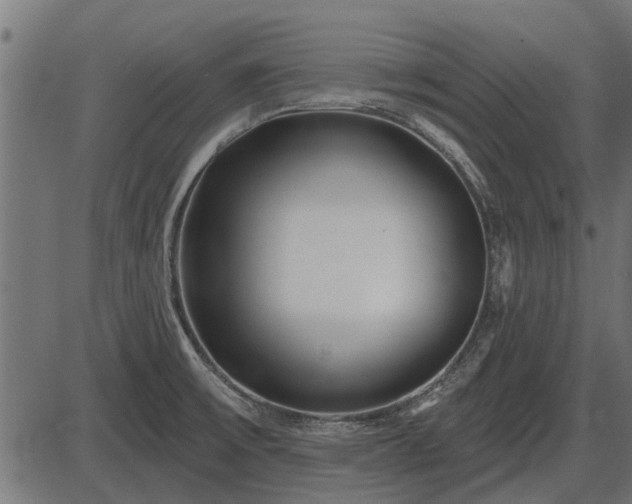 X0000086301475200704091008