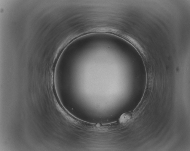 X0000086301476200704091008