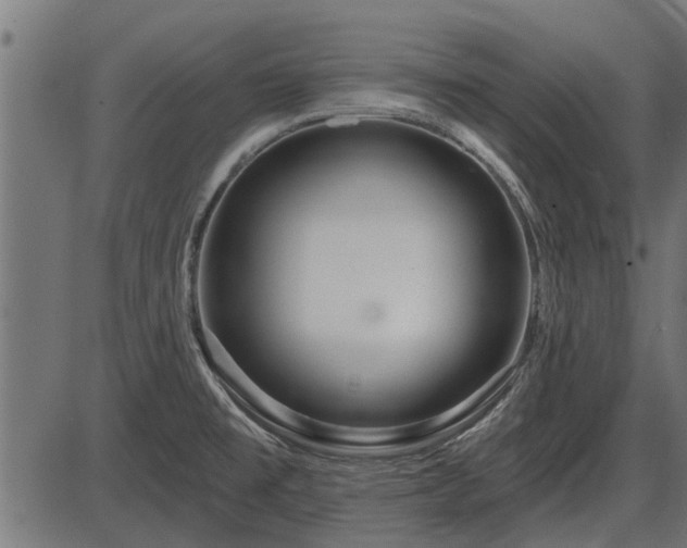 X0000086301477200704091008