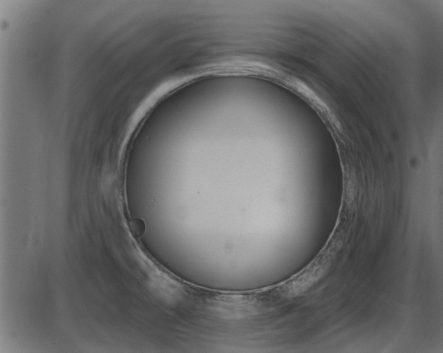 X0000086301478200704091008