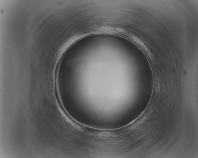 X0000086301479200704091008