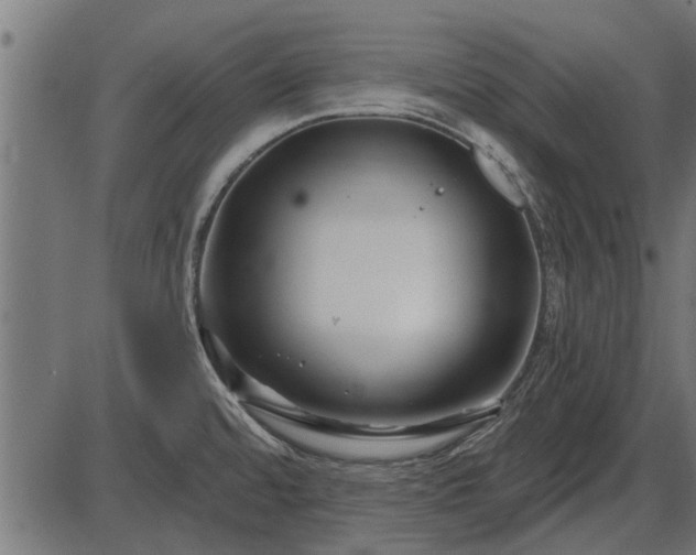 X0000086301480200704091008